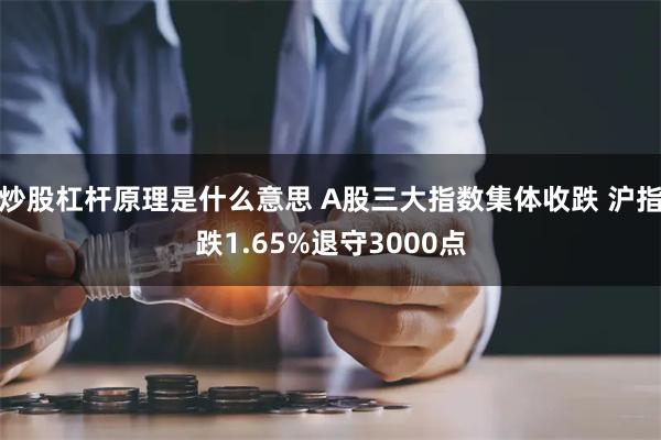 炒股杠杆原理是什么意思 A股三大指数集体收跌 沪指跌1.65%退守3000点