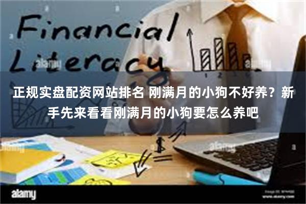 正规实盘配资网站排名 刚满月的小狗不好养？新手先来看看刚满月的小狗要怎么养吧