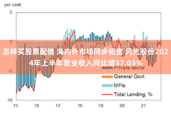 怎样买股票配债 海内外市场同步拓宽 风光股份2024年上半年营业收入同比增37.03%