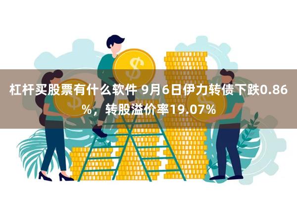 杠杆买股票有什么软件 9月6日伊力转债下跌0.86%，转股溢价率19.07%