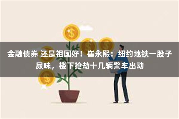 金融债券 还是祖国好！崔永熙：纽约地铁一股子尿味，楼下抢劫十几辆警车出动