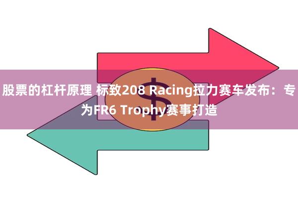 股票的杠杆原理 标致208 Racing拉力赛车发布：专为FR6 Trophy赛事打造