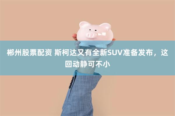 郴州股票配资 斯柯达又有全新SUV准备发布，这回动静可不小