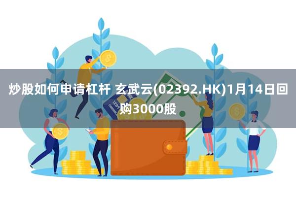 炒股如何申请杠杆 玄武云(02392.HK)1月14日回购3000股