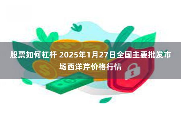 股票如何杠杆 2025年1月27日全国主要批发市场西洋芹价格行情